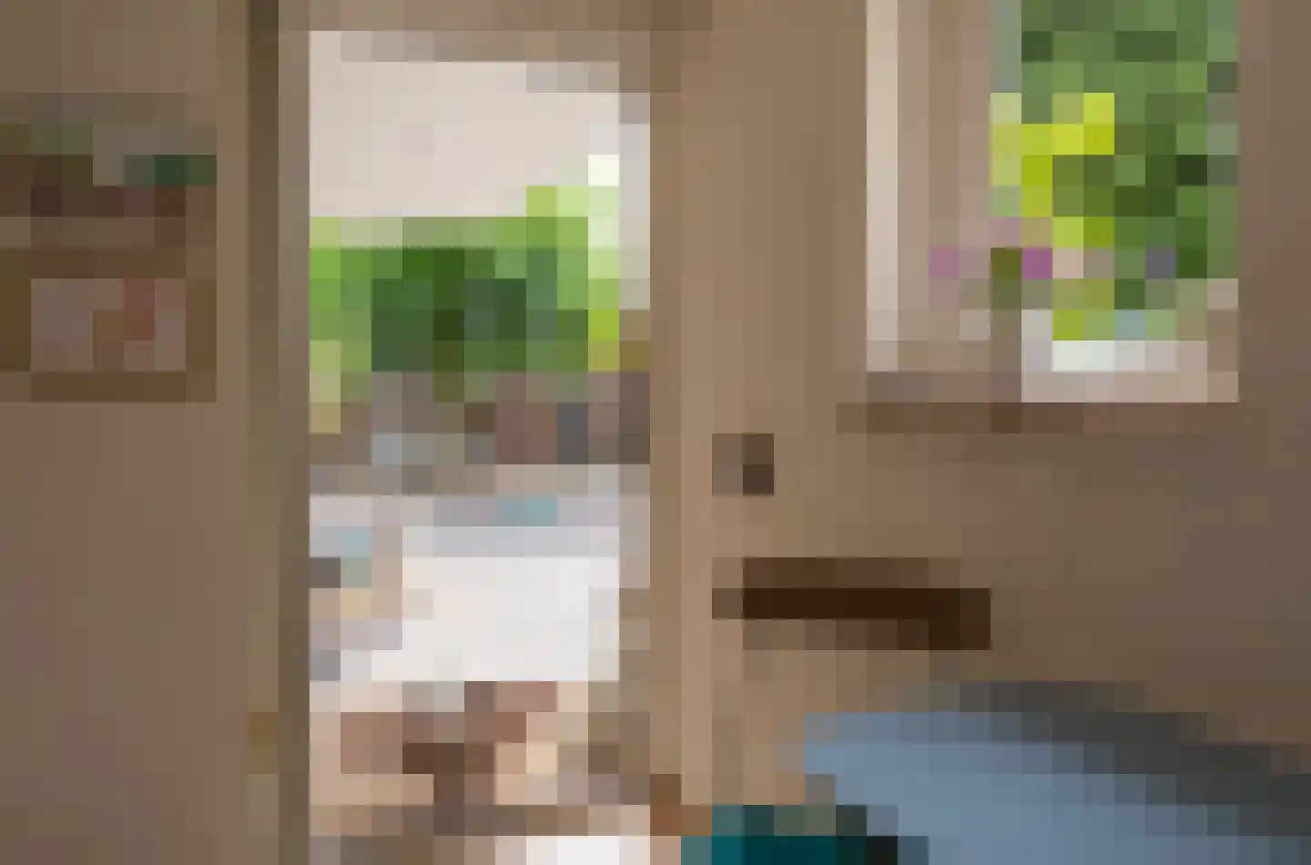 Karthuizerstraat 7 Helden thumbnail 12