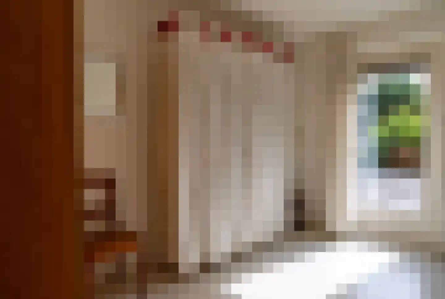 Karthuizerstraat 7 Helden thumbnail 18
