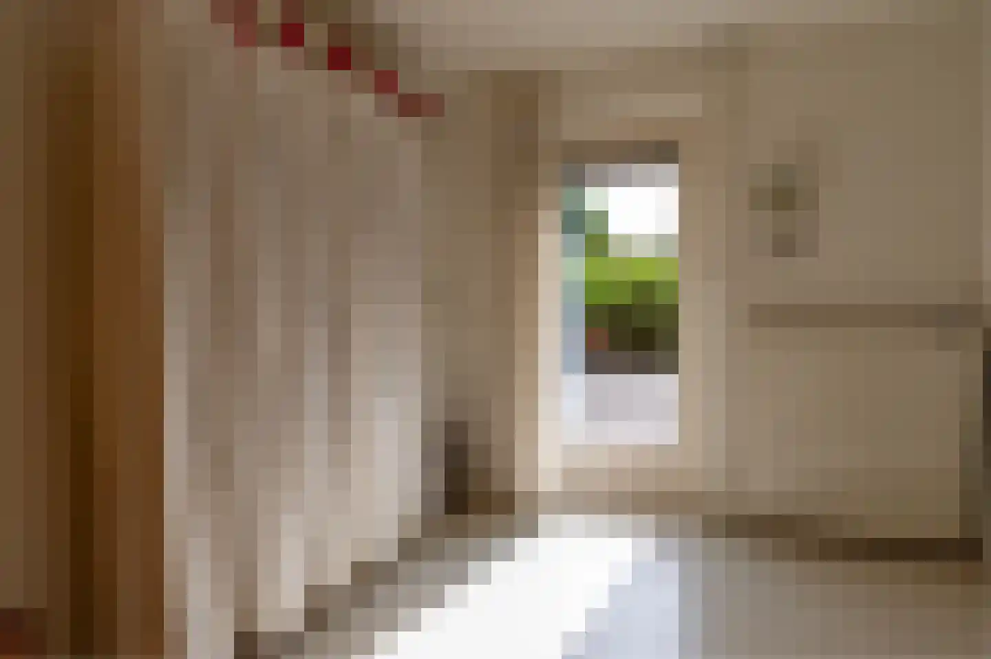 Karthuizerstraat 7 Helden thumbnail 19