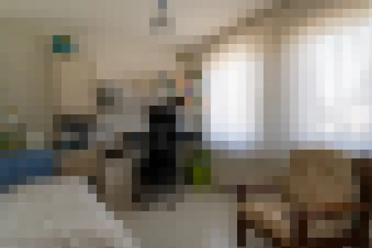 Karthuizerstraat 7 Helden thumbnail 20