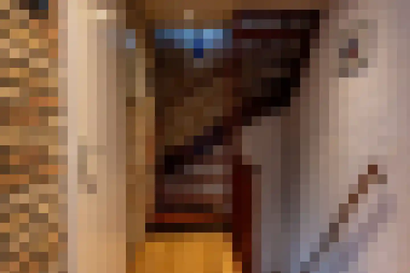 Karthuizerstraat 7 Helden thumbnail 22