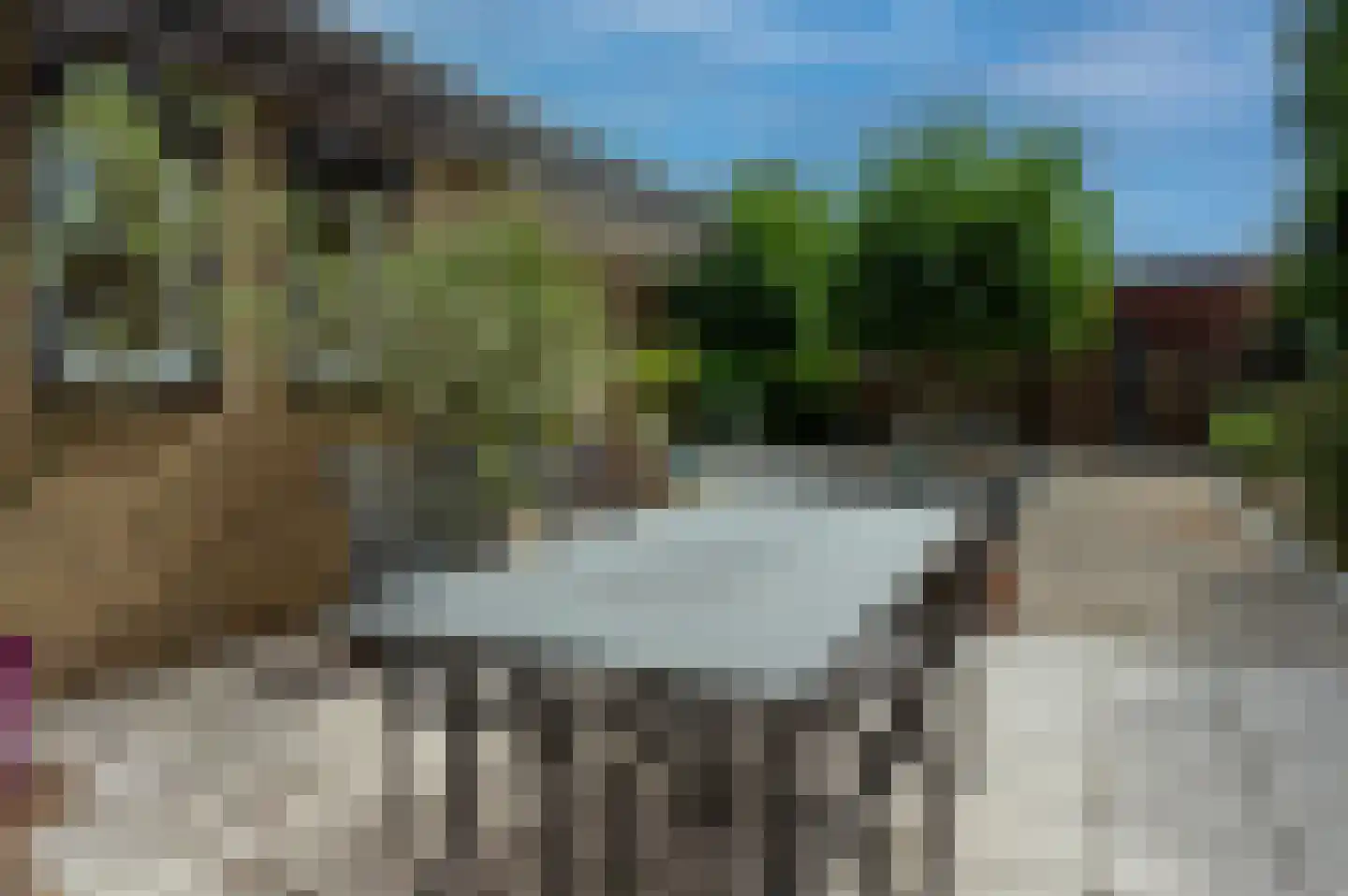 Karthuizerstraat 7 Helden thumbnail 25