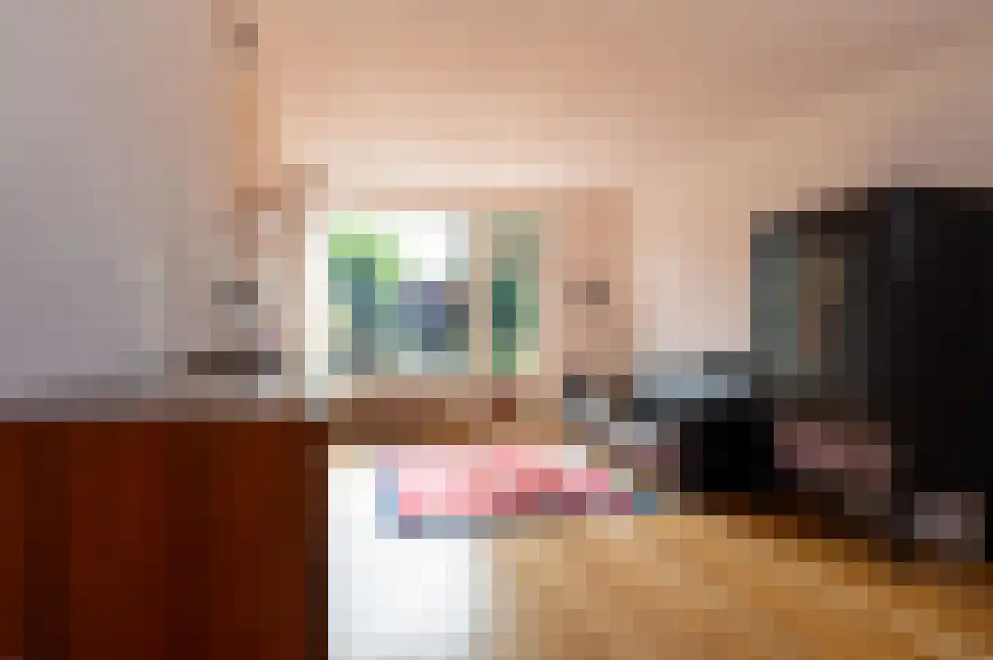 Karthuizerstraat 7 Helden thumbnail 5