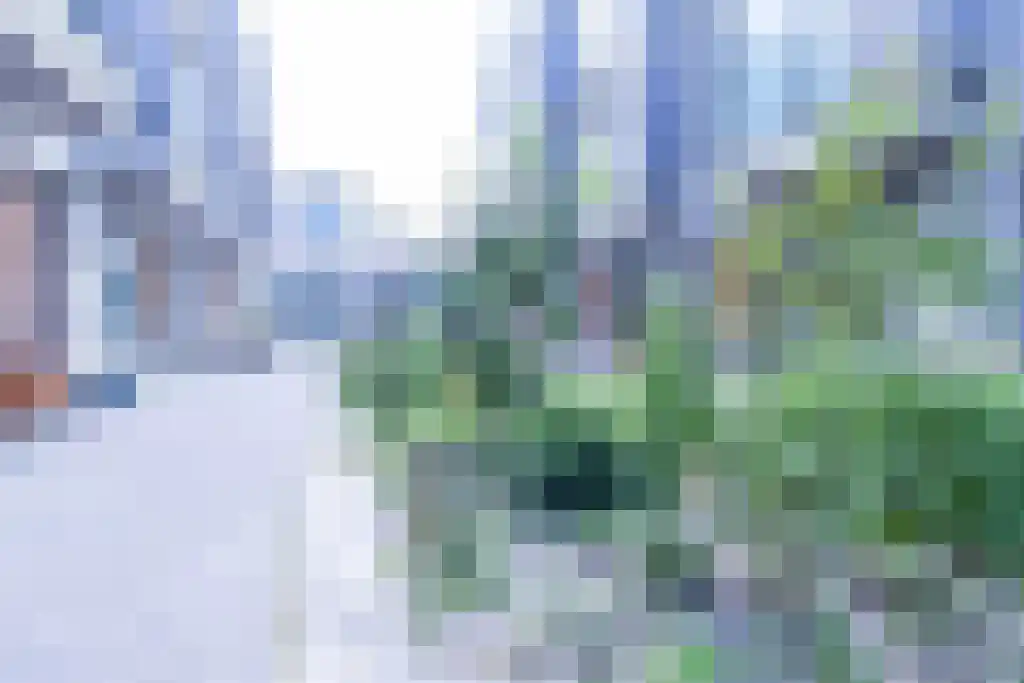 Kartonstraat 12 Amsterdam thumbnail 4