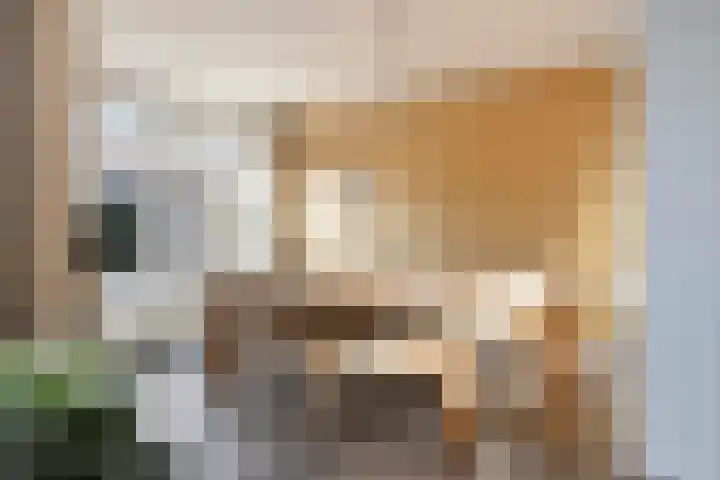 Kartuizerslaan 2 Alphen aan den Rijn thumbnail 13