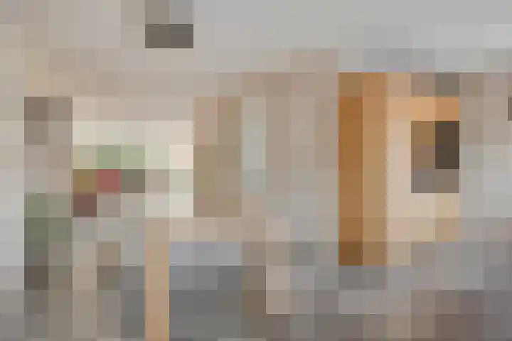 Kartuizerslaan 2 Alphen aan den Rijn thumbnail 18