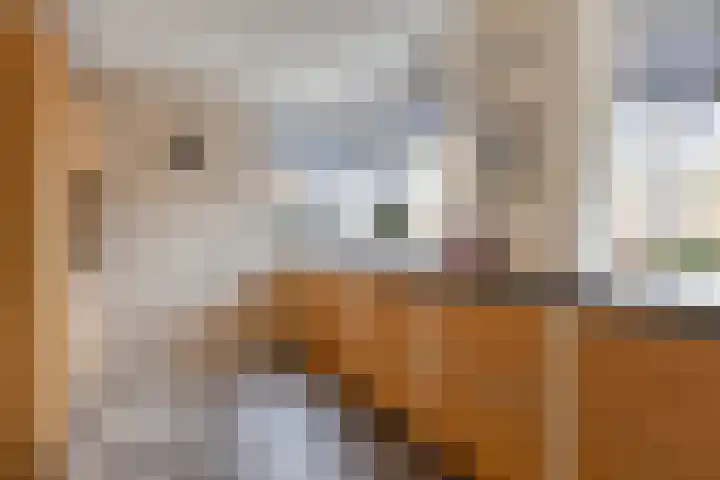 Kartuizerslaan 2 Alphen aan den Rijn thumbnail 23