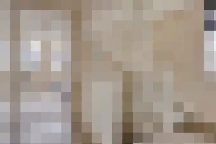 Kartuizerslaan 2 Alphen aan den Rijn thumbnail 25