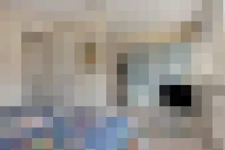 Kartuizerslaan 2 Alphen aan den Rijn thumbnail 27