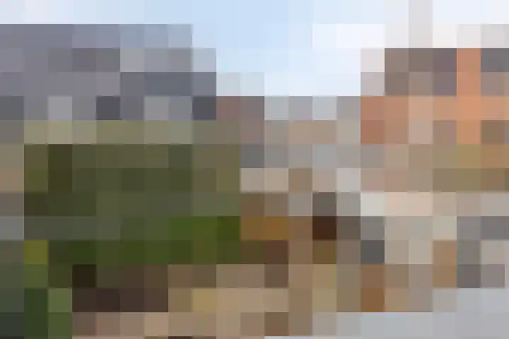 Kartuizerslaan 2 Alphen aan den Rijn thumbnail 31