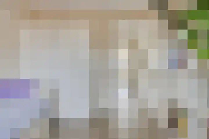 Kartuizerslaan 2 Alphen aan den Rijn thumbnail 33