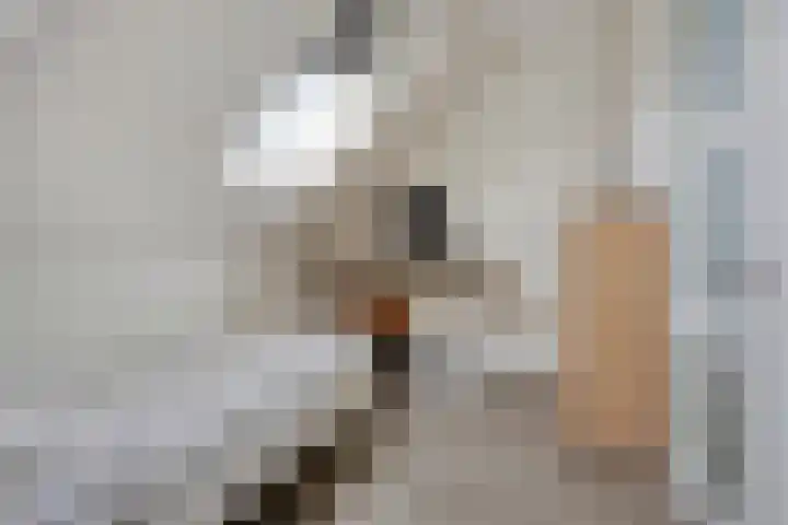 Kartuizerslaan 2 Alphen aan den Rijn thumbnail 40