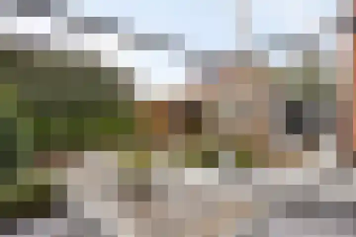 Kartuizerslaan 2 Alphen aan den Rijn thumbnail 49