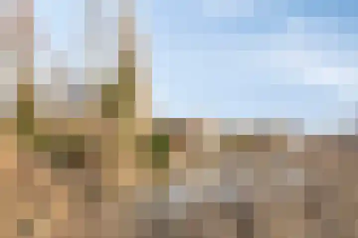 Kartuizerslaan 2 Alphen aan den Rijn thumbnail 57