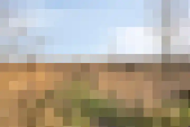 Kartuizerslaan 2 Alphen aan den Rijn thumbnail 60