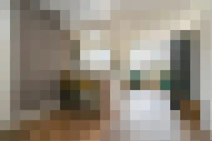 Kartuizerslaan 3 Alphen aan den Rijn thumbnail 12
