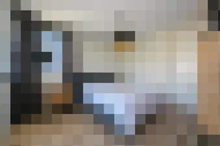Kartuizerslaan 3 Alphen aan den Rijn thumbnail 21