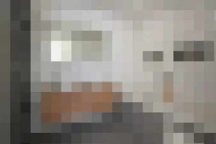 Kartuizerslaan 3 Alphen aan den Rijn thumbnail 26