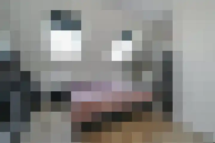 Kartuizerslaan 3 Alphen aan den Rijn thumbnail 31