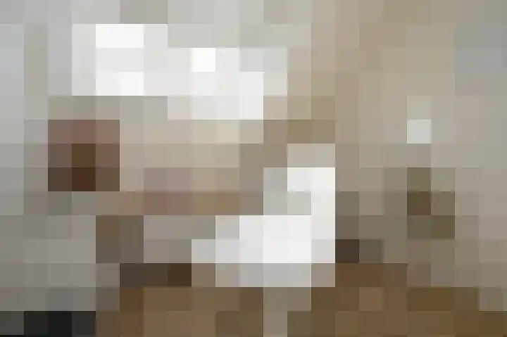 Kartuizerslaan 3 Alphen aan den Rijn thumbnail 33