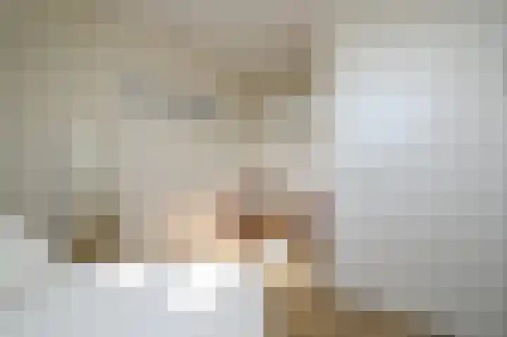 Kartuizerslaan 3 Alphen aan den Rijn thumbnail 34