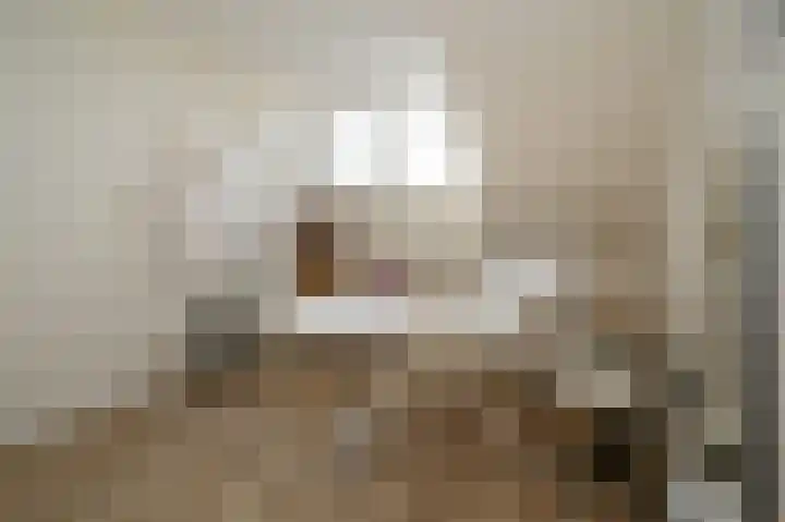 Kartuizerslaan 3 Alphen aan den Rijn thumbnail 35