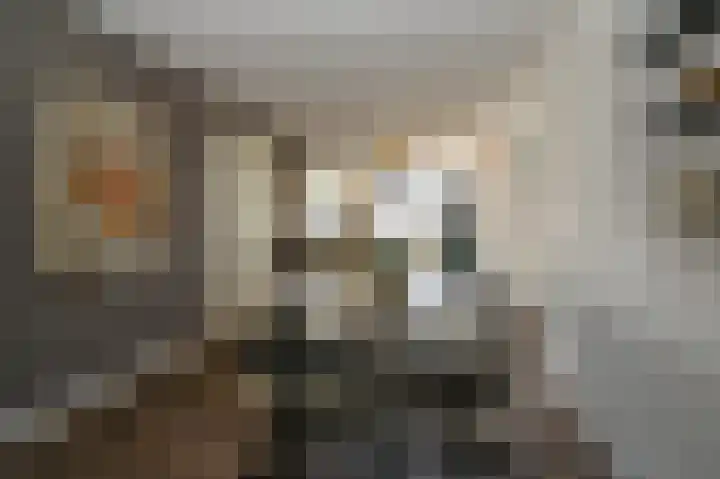 Kartuizerslaan 3 Alphen aan den Rijn thumbnail 7