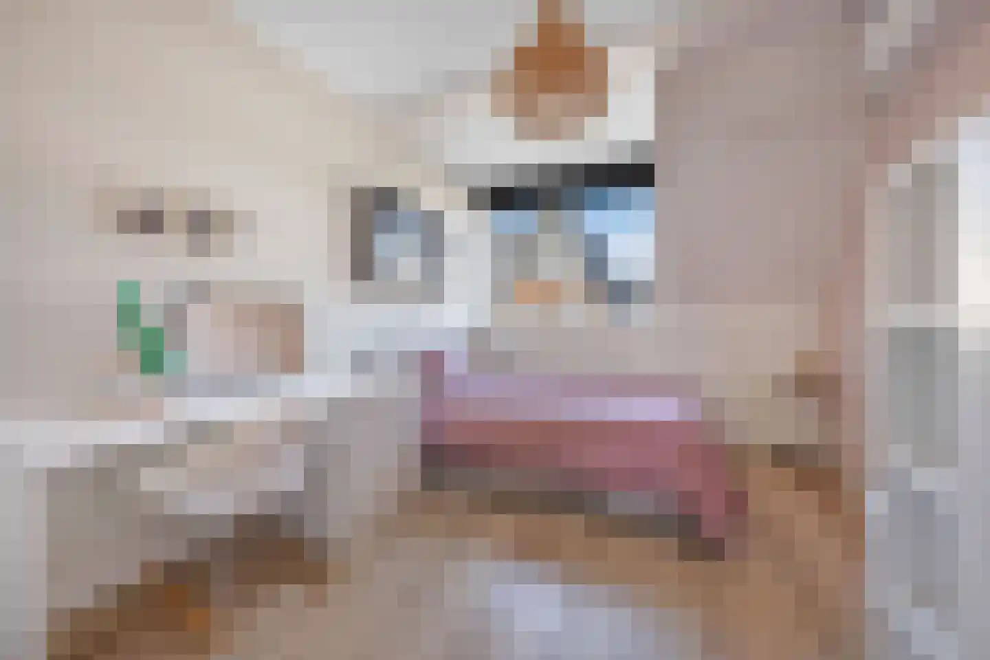 Kartuizerslaan 7 Alphen aan den Rijn thumbnail 17