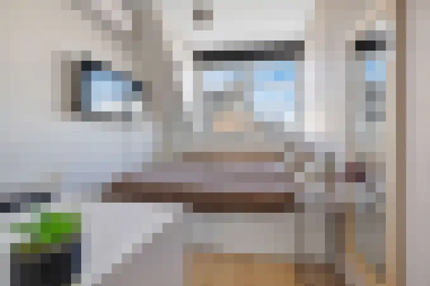 Kartuizerslaan 7 Alphen aan den Rijn thumbnail 19