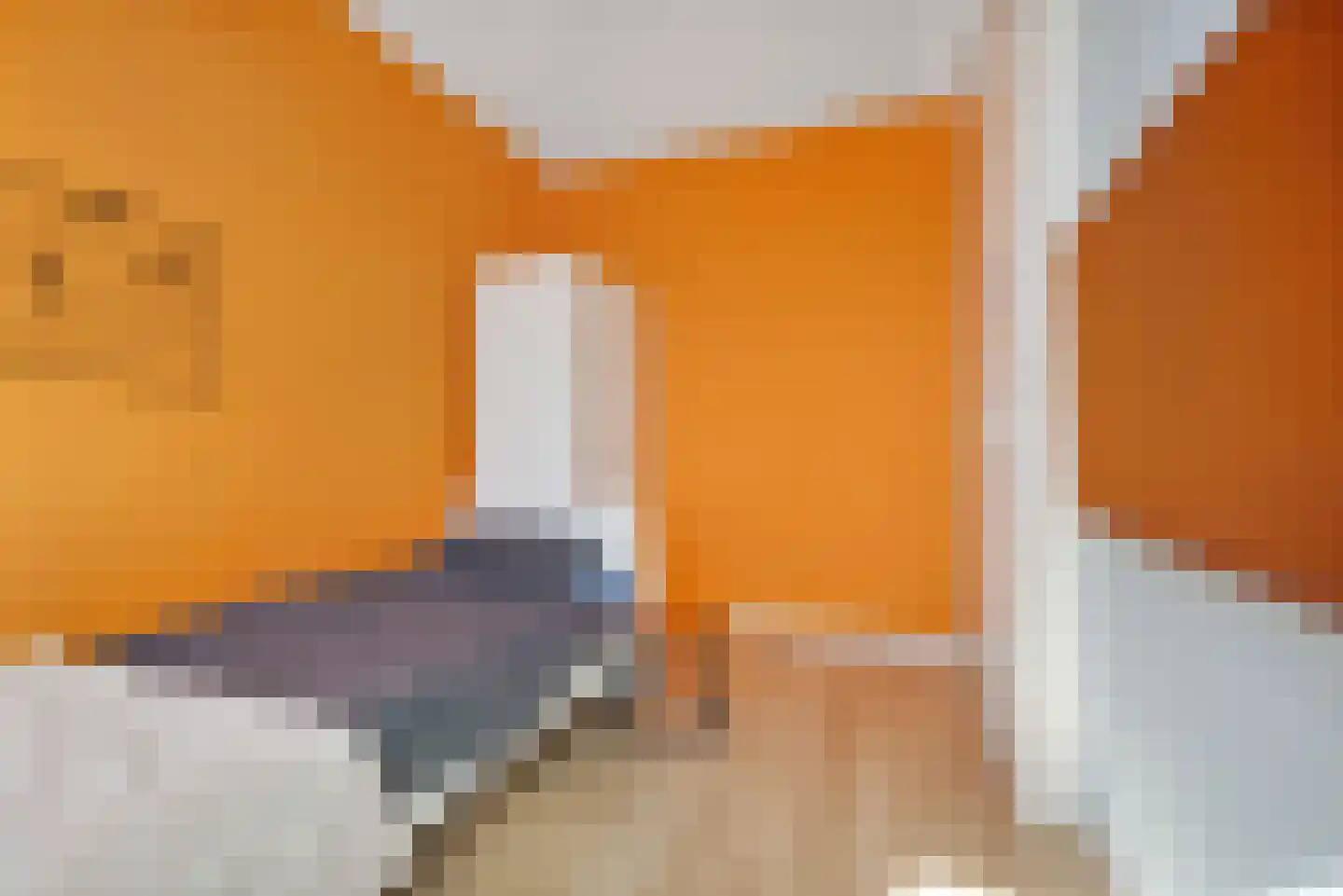 Kartuizerslaan 7 Alphen aan den Rijn thumbnail 22