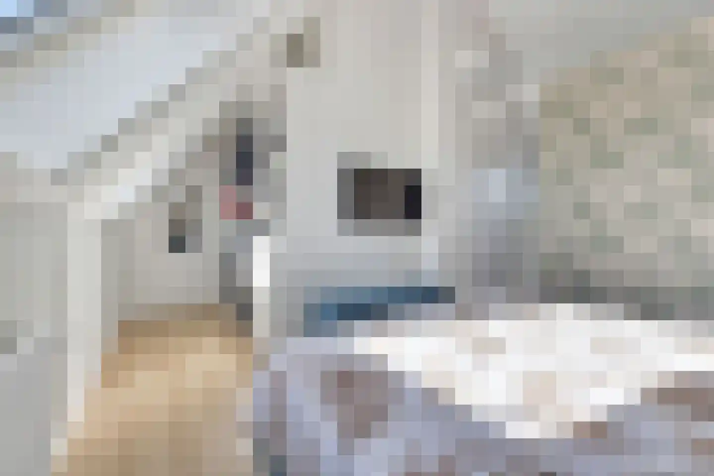 Kartuizerslaan 7 Alphen aan den Rijn thumbnail 32