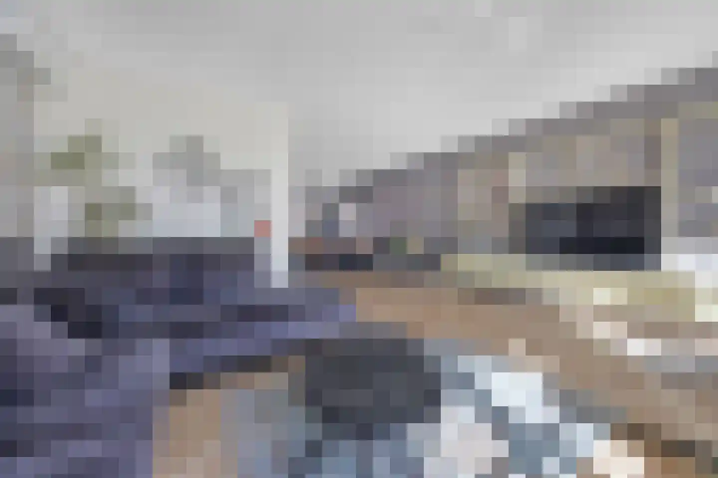 Kartuizerslaan 7 Alphen aan den Rijn thumbnail 4