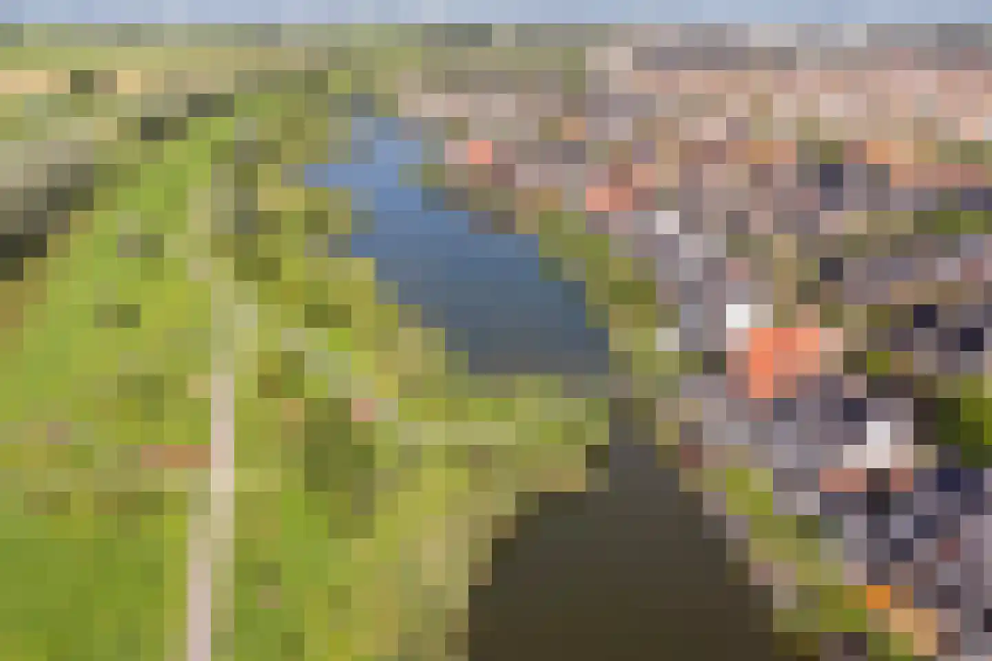 Kartuizerslaan 7 Alphen aan den Rijn thumbnail 43