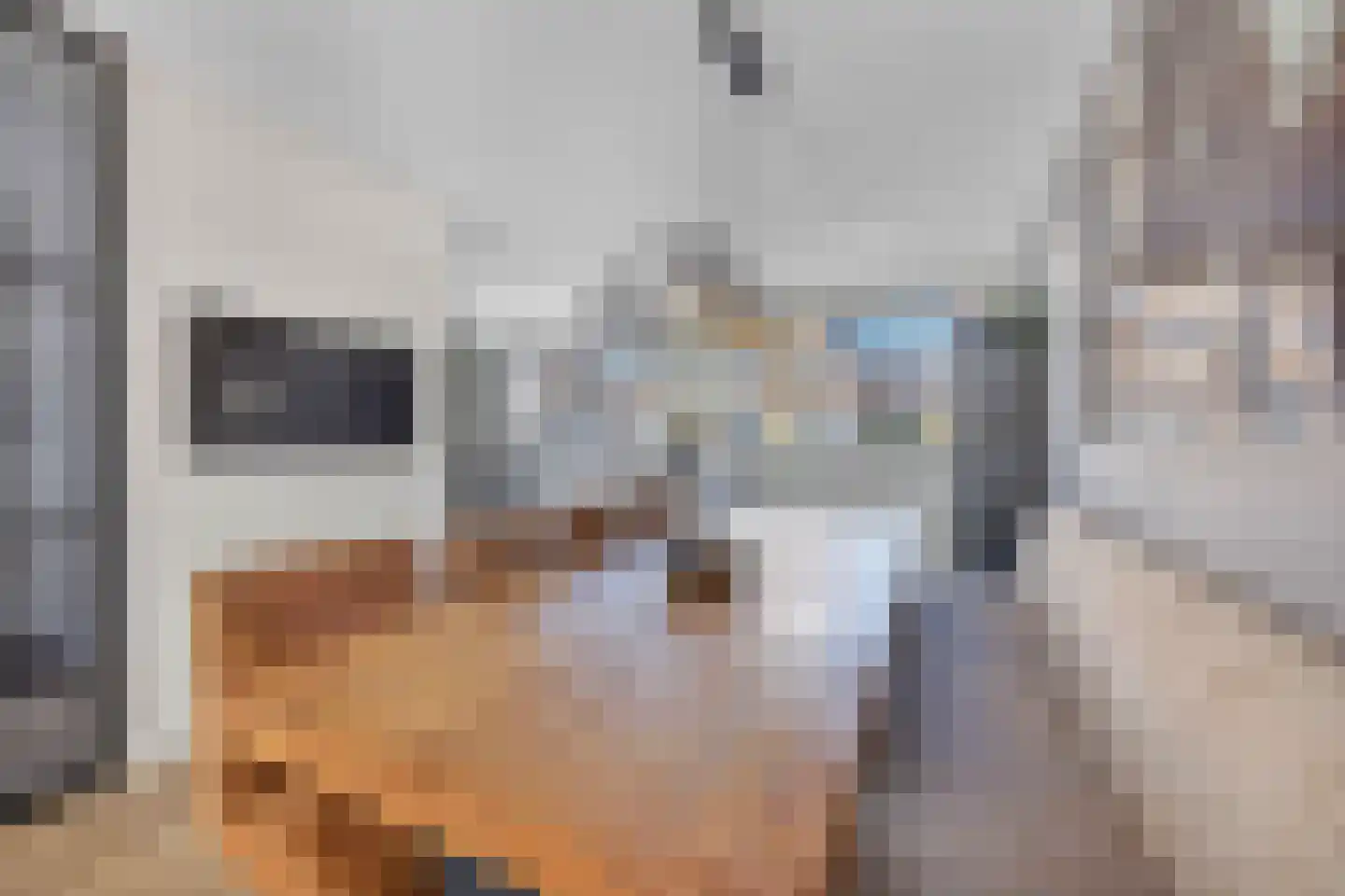 Kartuizerslaan 7 Alphen aan den Rijn thumbnail 7
