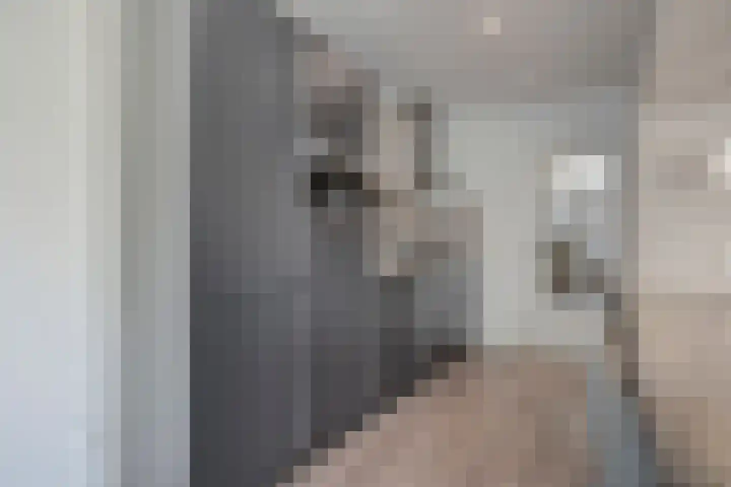 Kartuizersstraat 60 Tilburg thumbnail 14