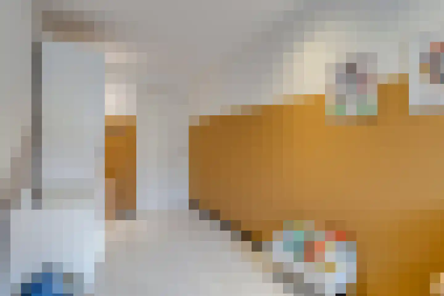 Kartuizersstraat 60 Tilburg thumbnail 22