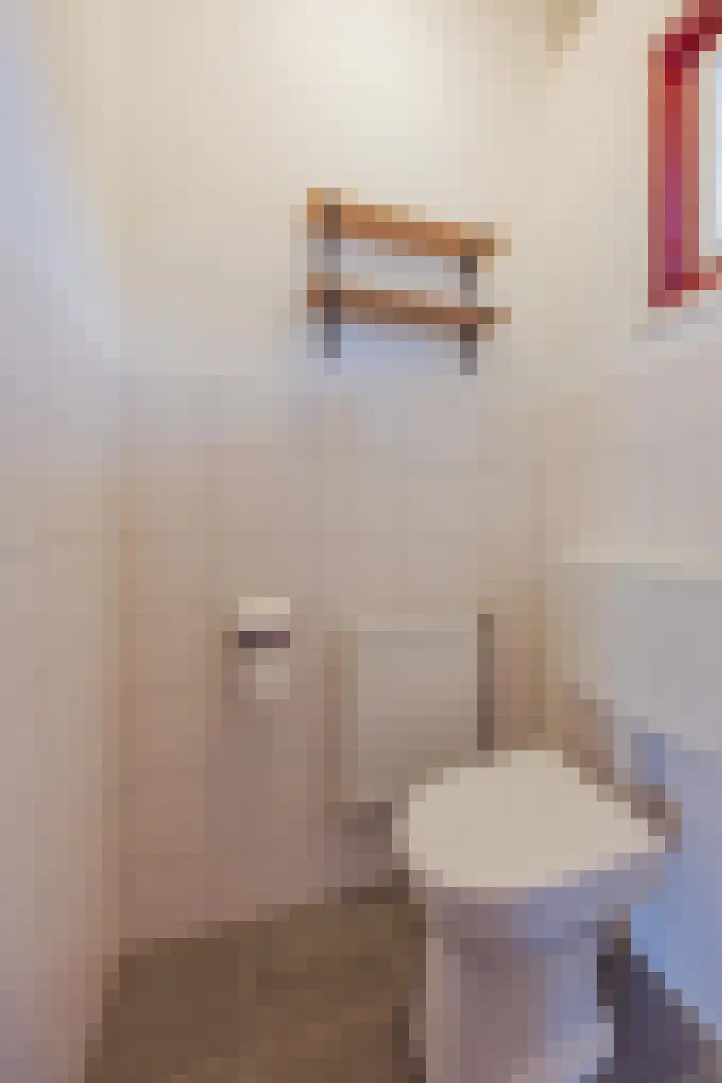Kartuizerstraat 1 Raamsdonksveer thumbnail 13