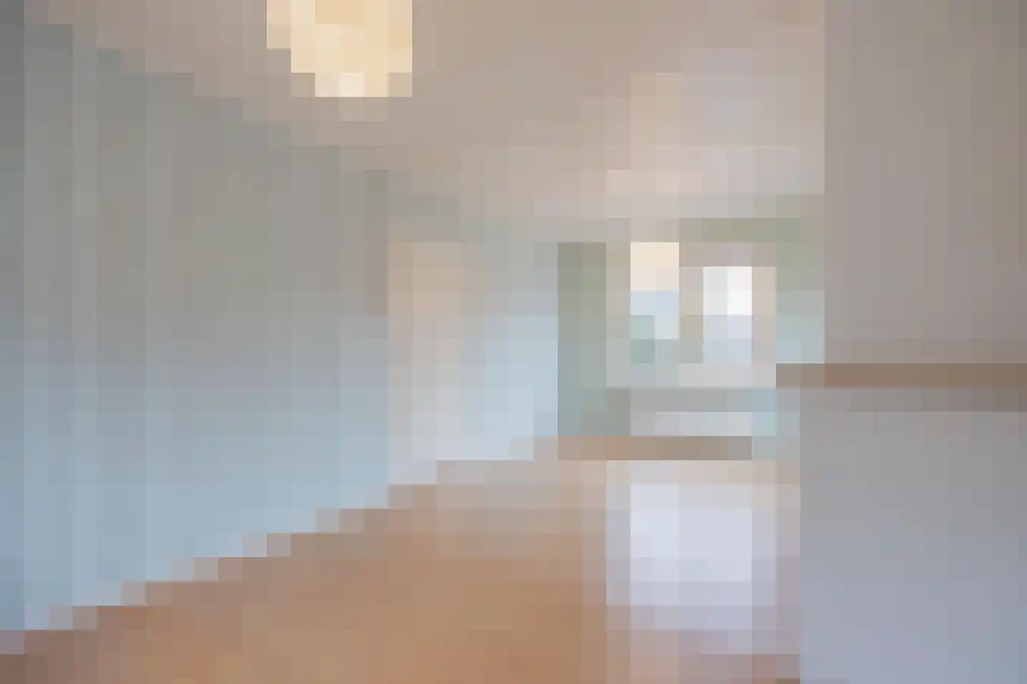 Kartuizerstraat 1 Raamsdonksveer thumbnail 17