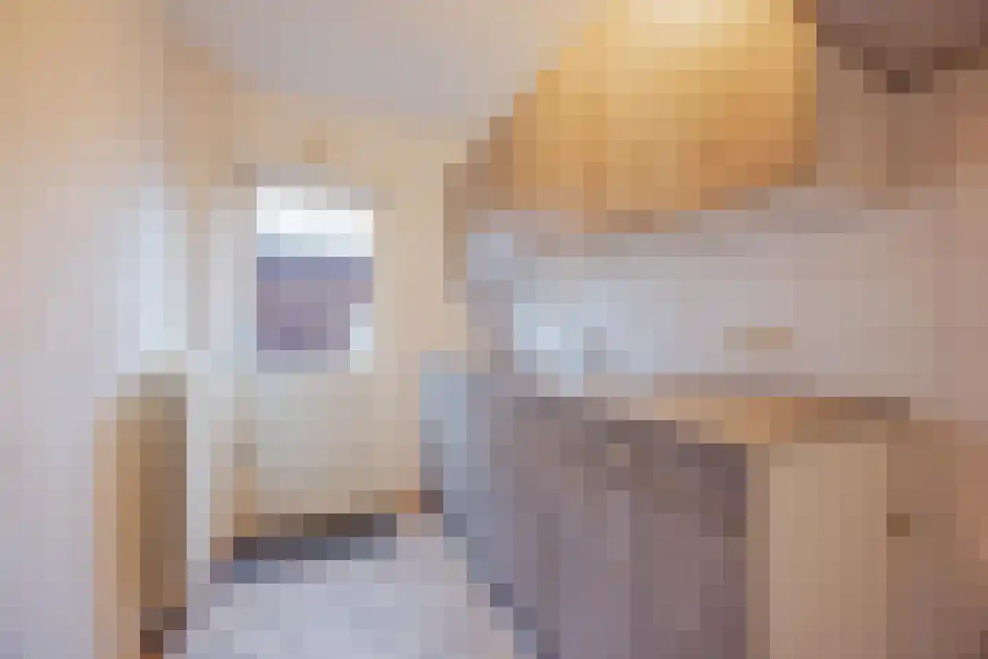 Kartuizerstraat 1 Raamsdonksveer thumbnail 18