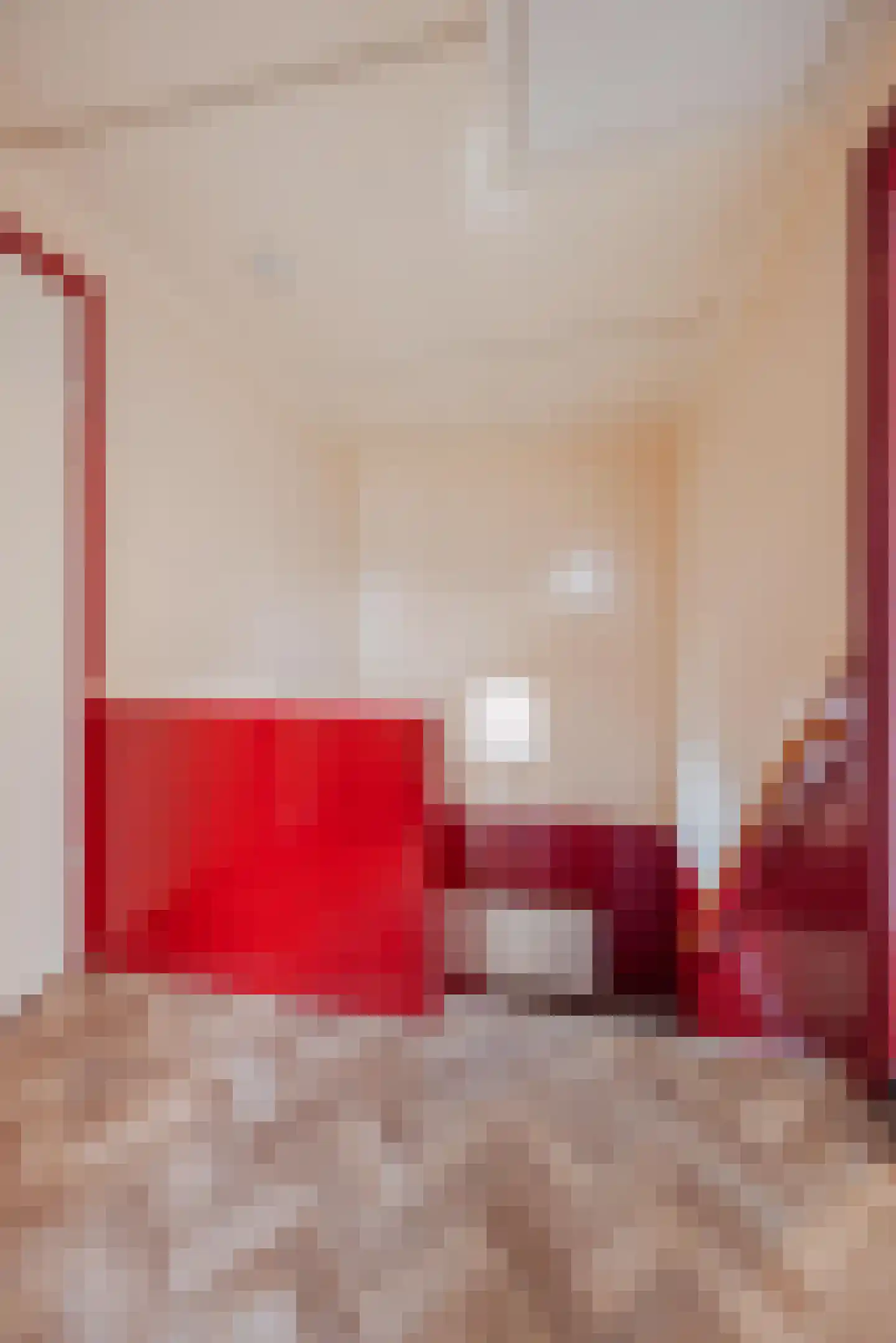 Kartuizerstraat 1 Raamsdonksveer thumbnail 23