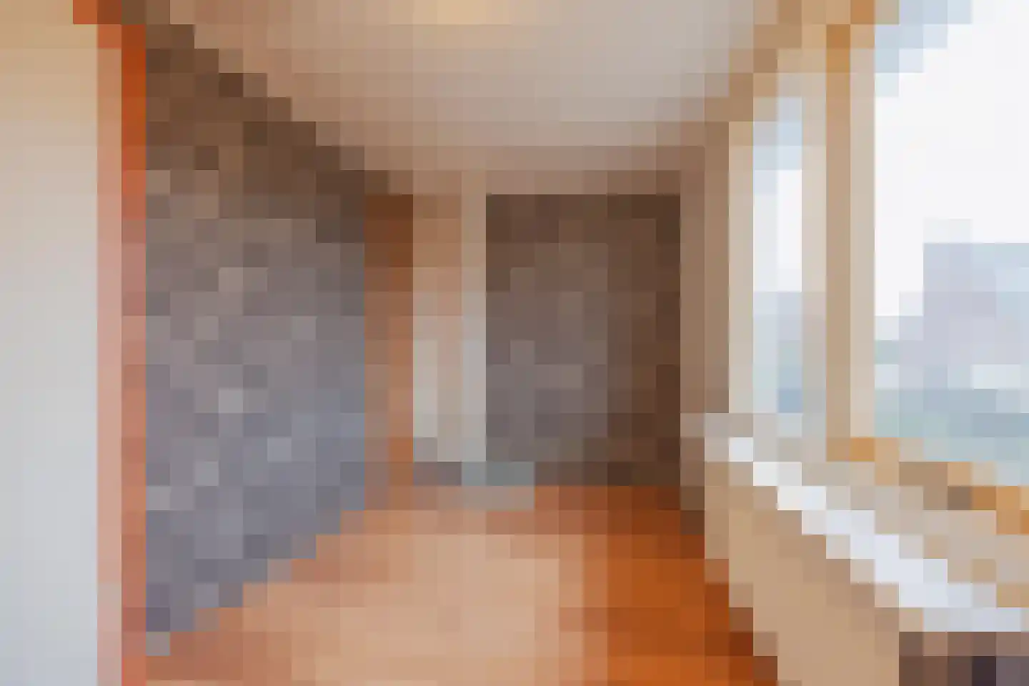 Kartuizerstraat 1 Raamsdonksveer thumbnail 26