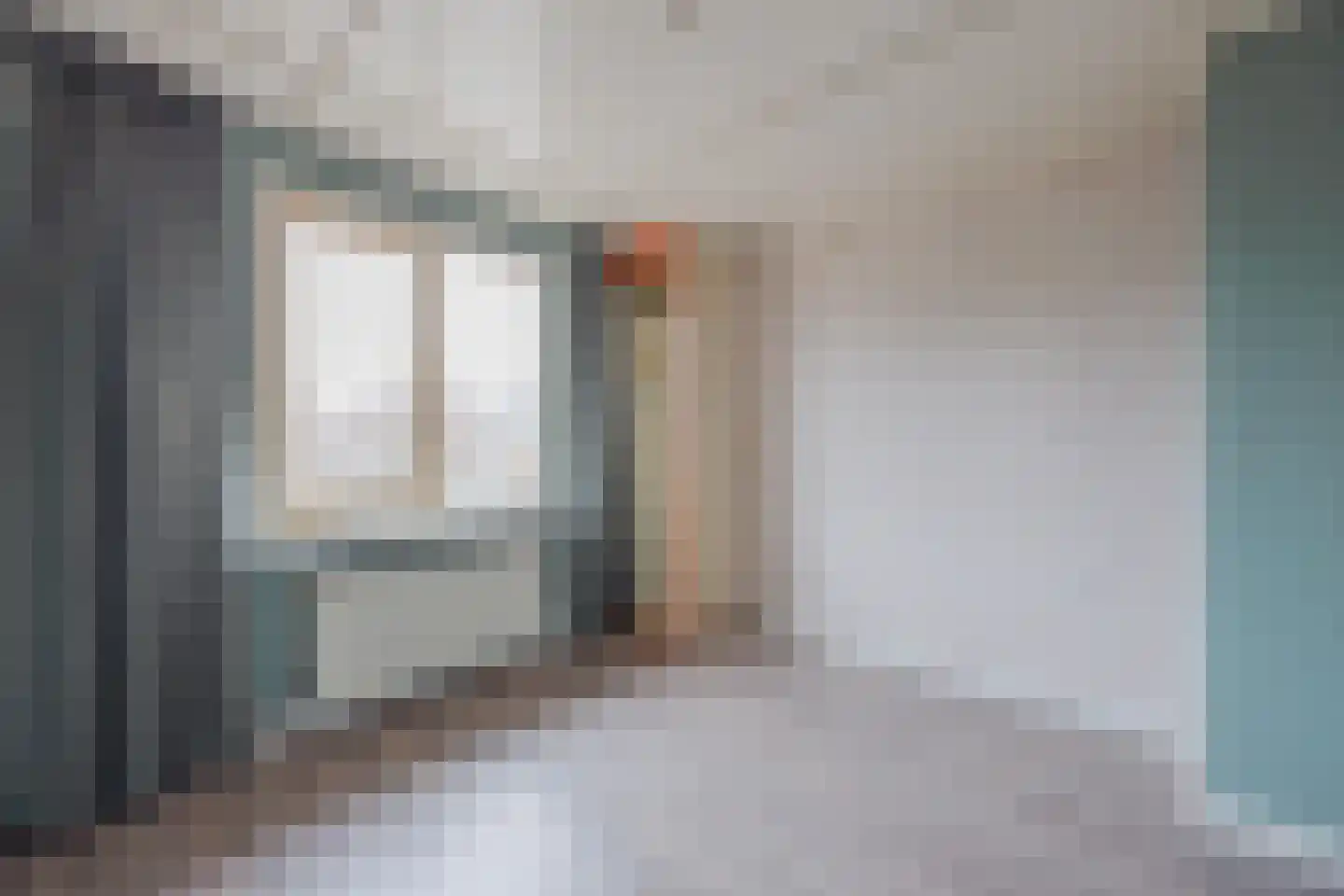 Kartuizerstraat 1 Raamsdonksveer thumbnail 28