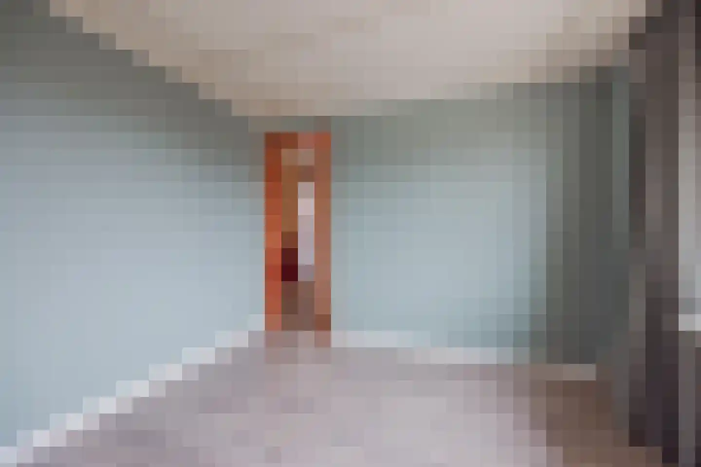 Kartuizerstraat 1 Raamsdonksveer thumbnail 29
