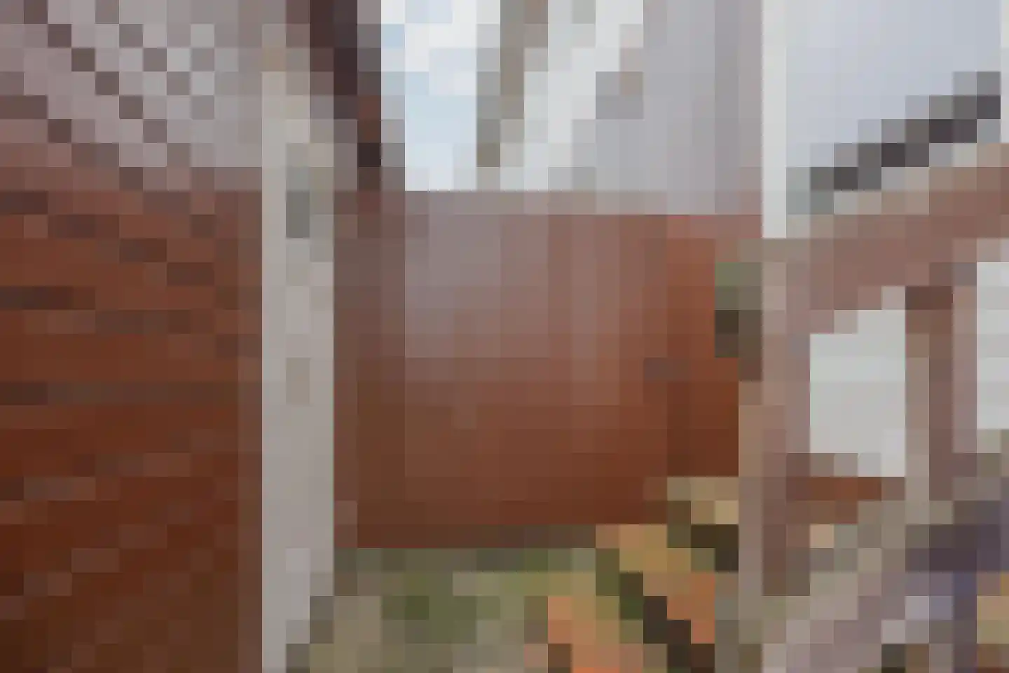 Kartuizerstraat 1 Raamsdonksveer thumbnail 33