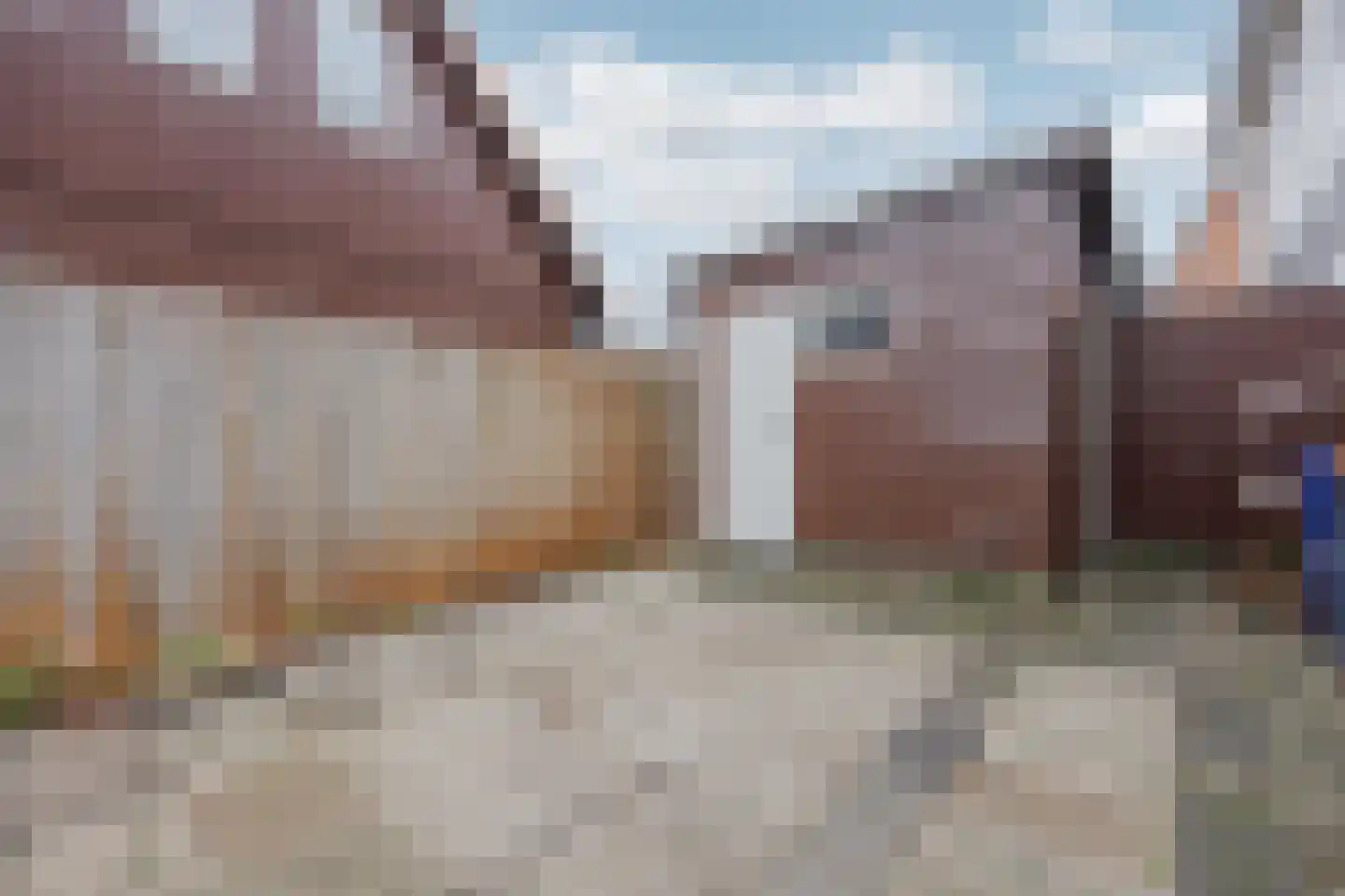 Kartuizerstraat 1 Raamsdonksveer thumbnail 36