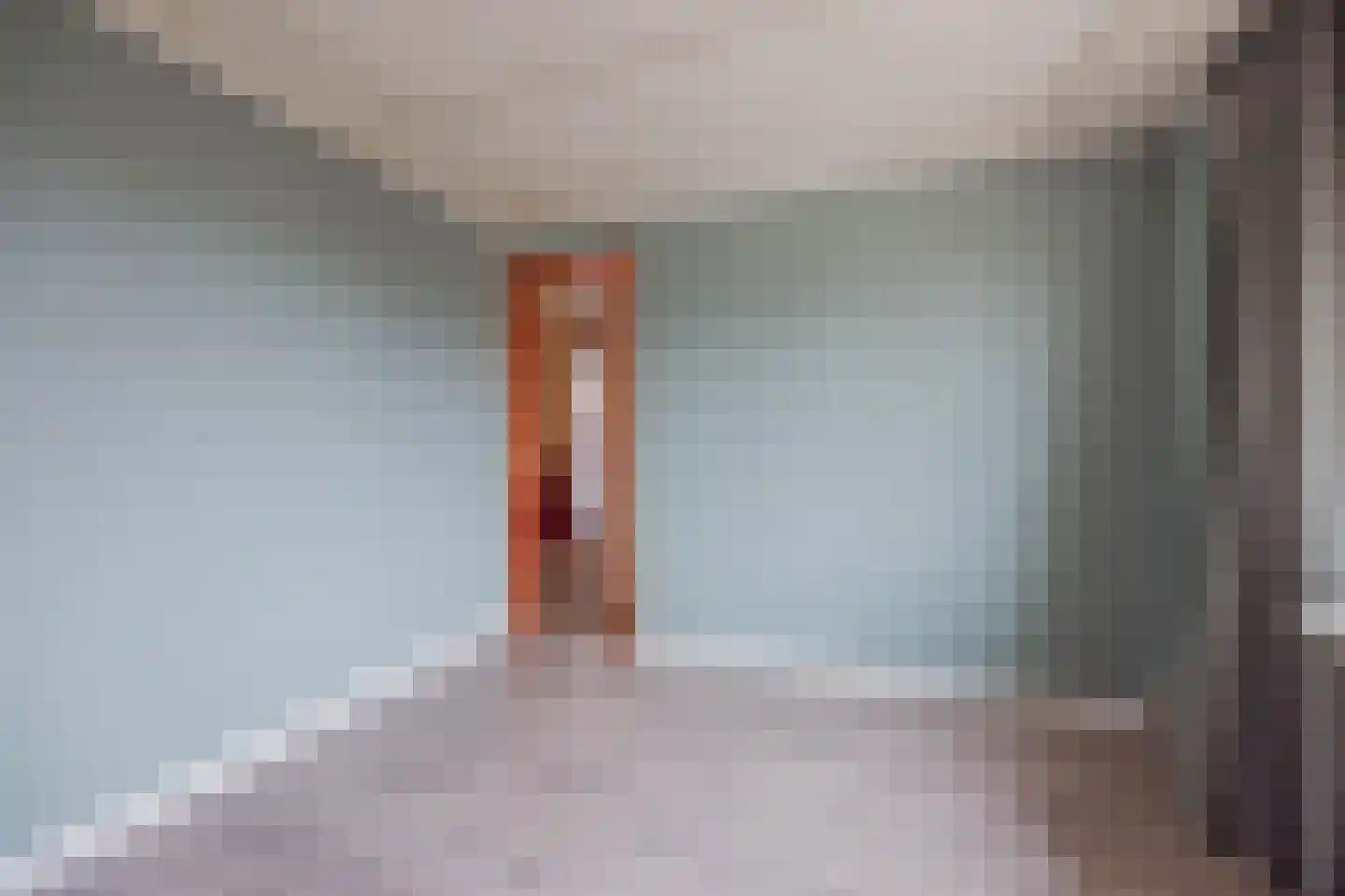 Kartuizerstraat 1 Raamsdonksveer thumbnail 4
