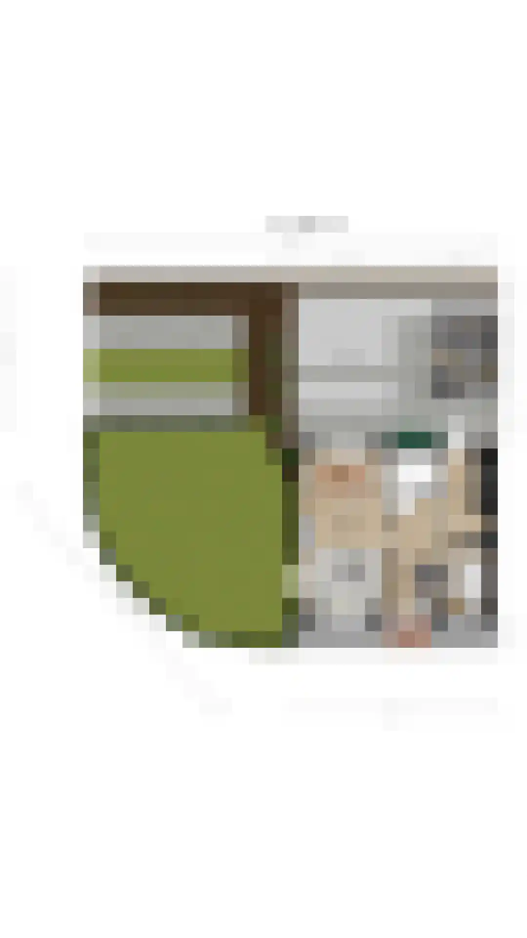 Kartuizerstraat 1 Raamsdonksveer thumbnail 41
