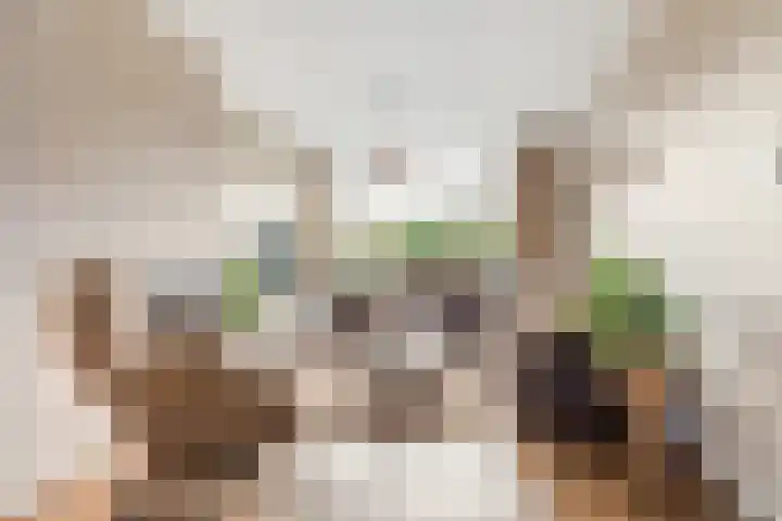 Kartuizerveld 19 Westmaas thumbnail 11