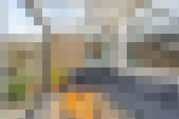 Kartuizerveld 19 Westmaas thumbnail 16