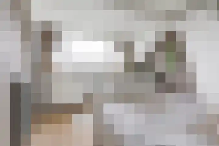 Kartuizerveld 19 Westmaas thumbnail 30
